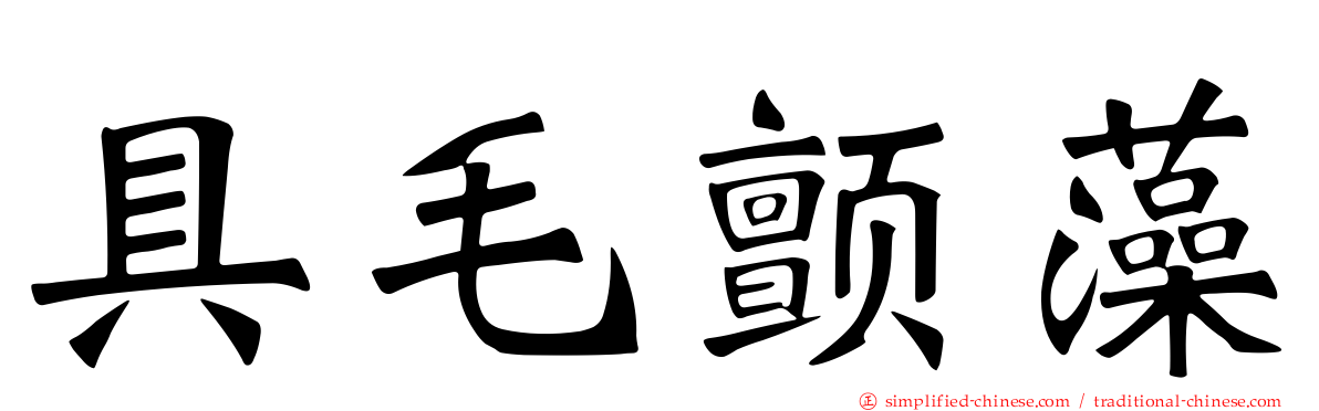 具毛颤藻