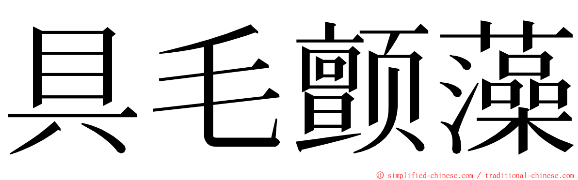 具毛颤藻 ming font