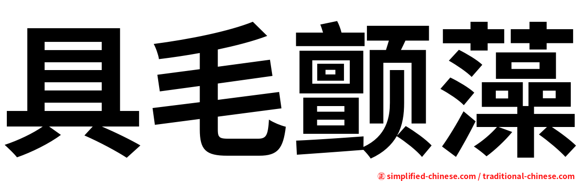 具毛颤藻