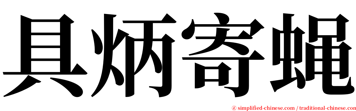 具炳寄蝇 serif font