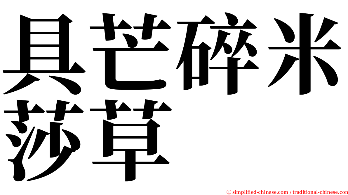具芒碎米莎草 serif font
