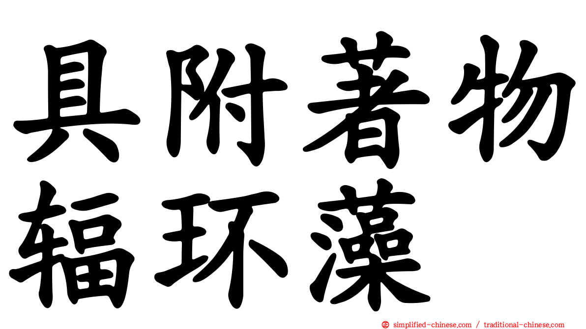 具附著物辐环藻