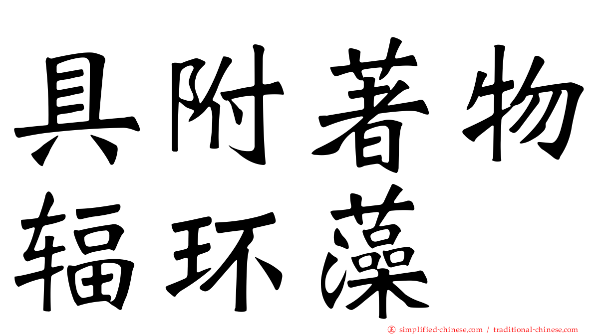 具附著物辐环藻