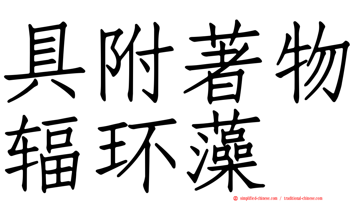 具附著物辐环藻