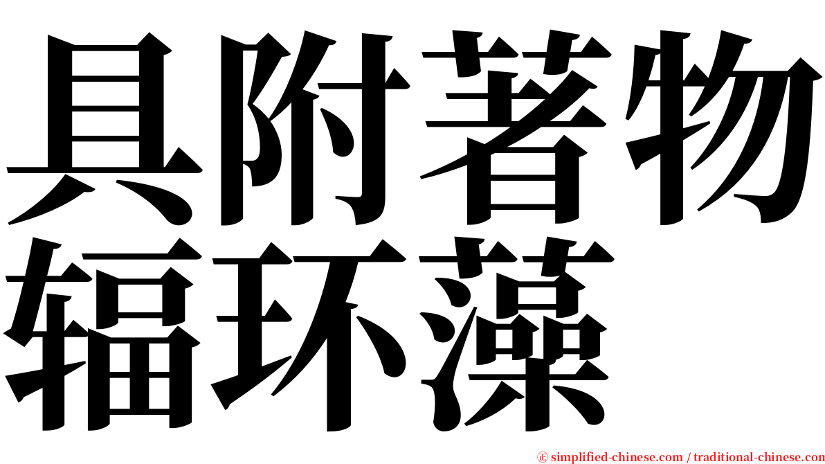 具附著物辐环藻 serif font