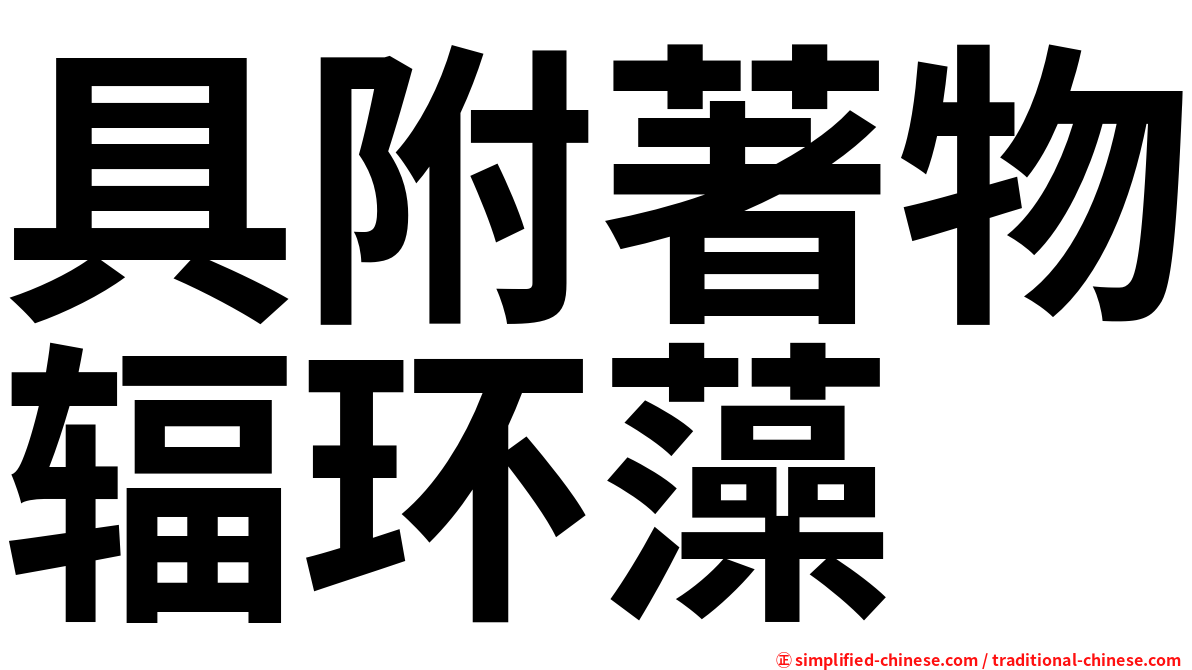 具附著物辐环藻