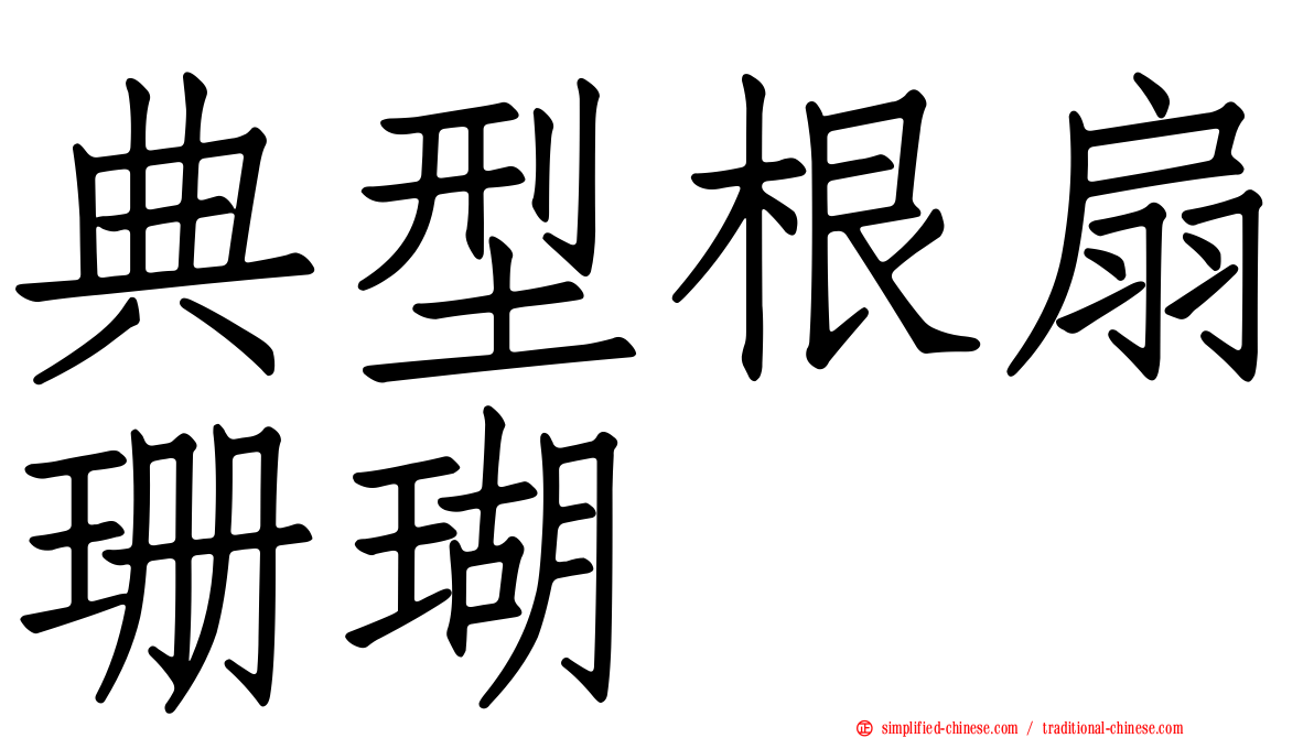 典型根扇珊瑚