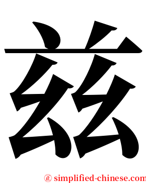 兹 serif font