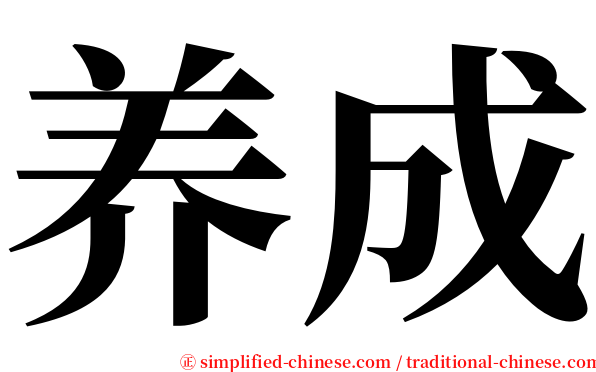 养成 serif font