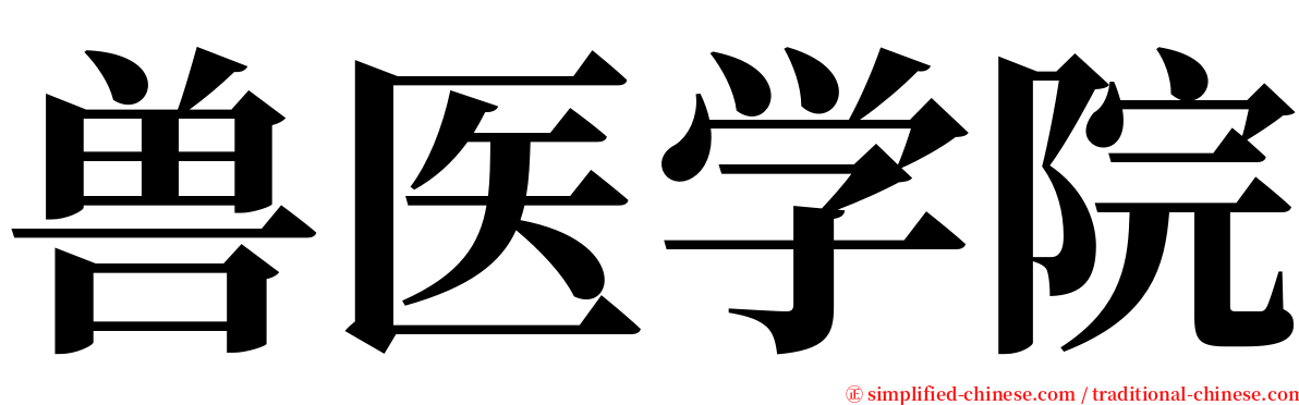 兽医学院 serif font
