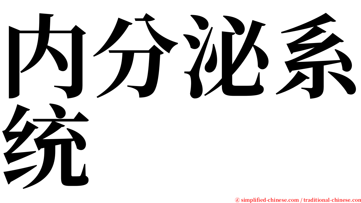 内分泌系统 serif font