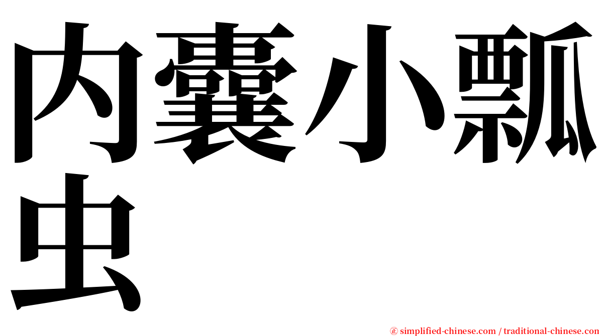 内囊小瓢虫 serif font