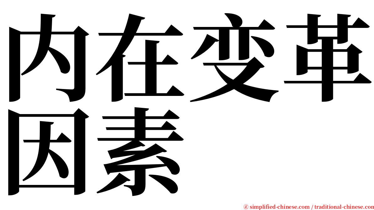 内在变革因素 serif font
