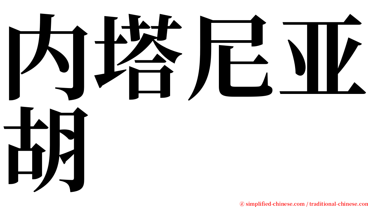 内塔尼亚胡 serif font