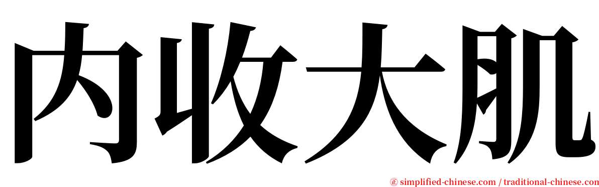 内收大肌 serif font
