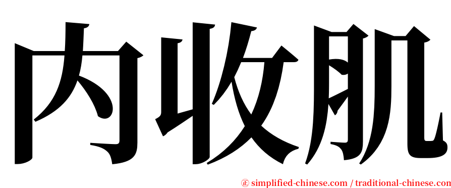 内收肌 serif font