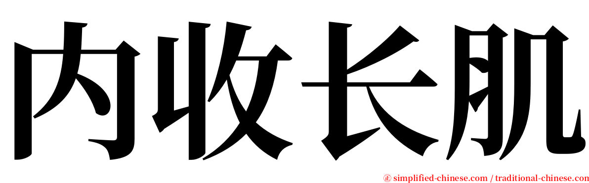 内收长肌 serif font