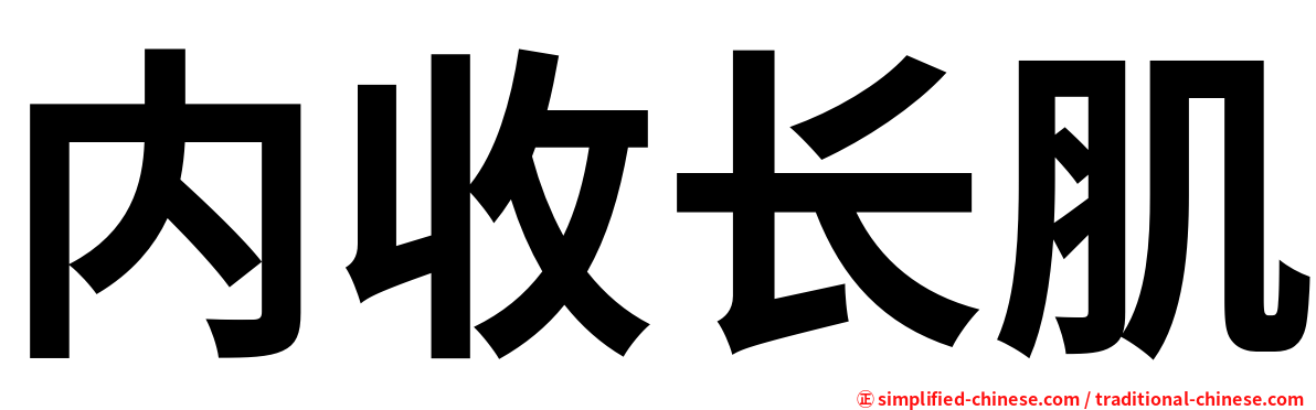 内收长肌
