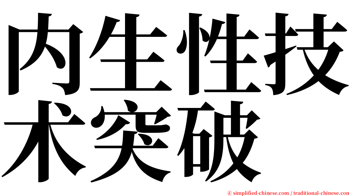 内生性技术突破 serif font