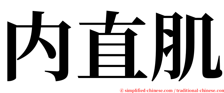 内直肌 serif font