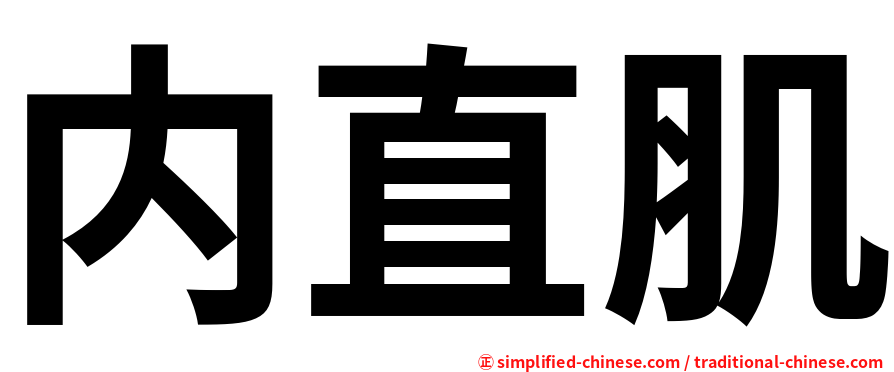 内直肌