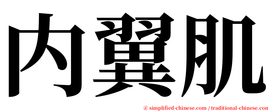 内翼肌 serif font
