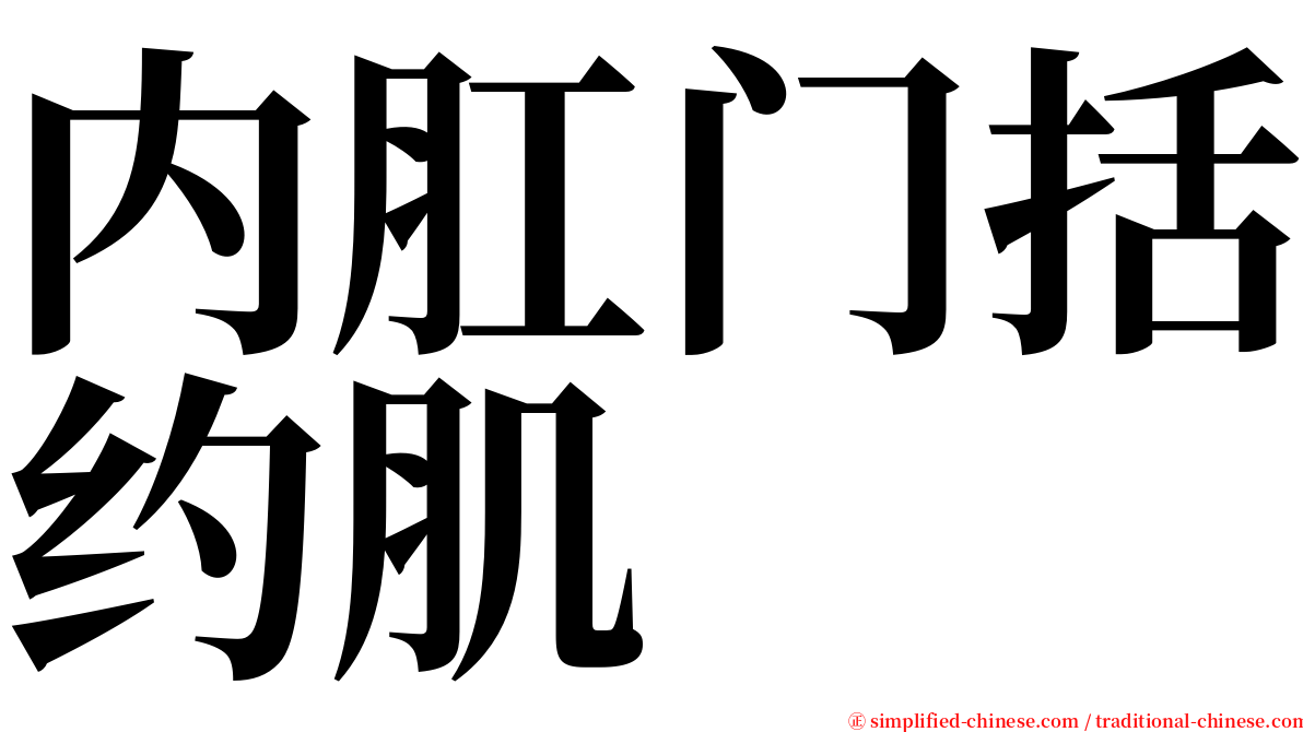 内肛门括约肌 serif font