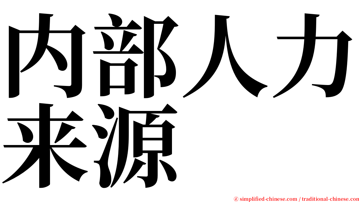内部人力来源 serif font