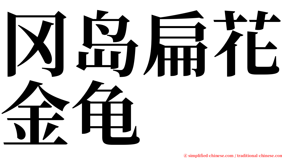 冈岛扁花金龟 serif font