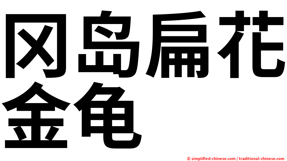 冈岛扁花金龟