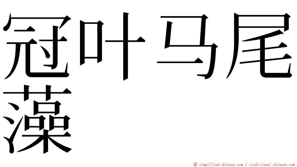 冠叶马尾藻 ming font
