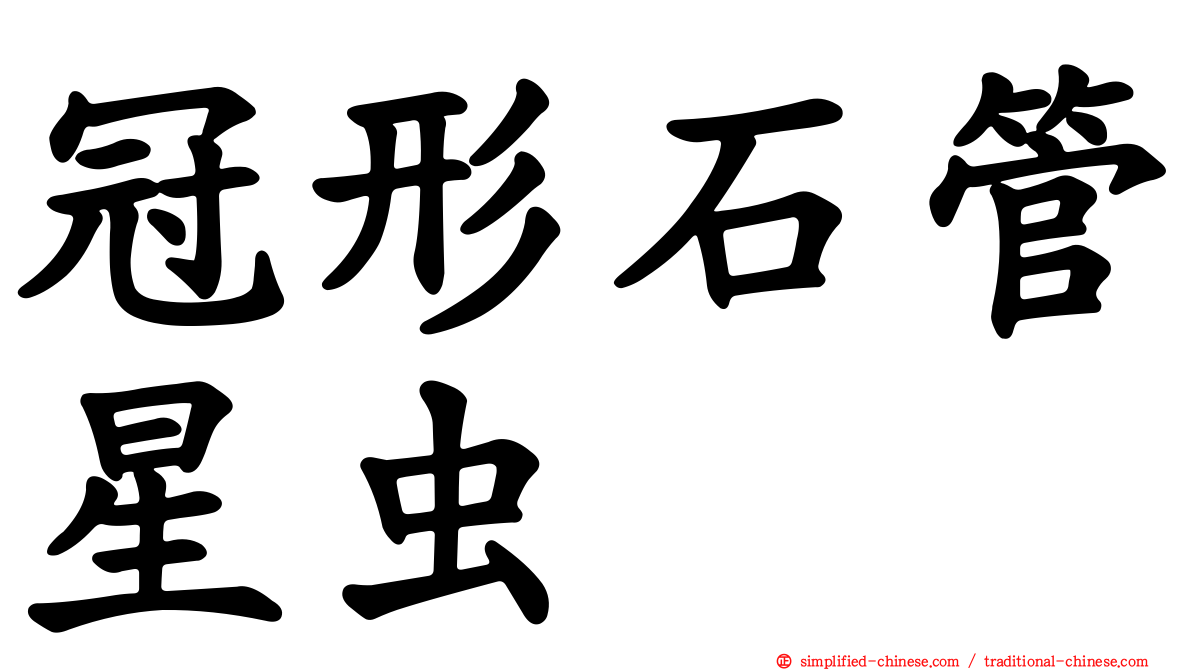 冠形石管星虫