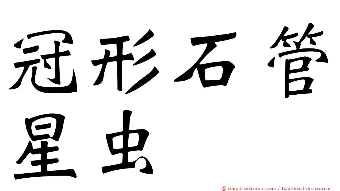 冠形石管星虫