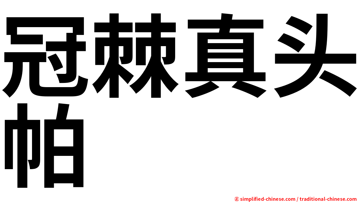 冠棘真头帕