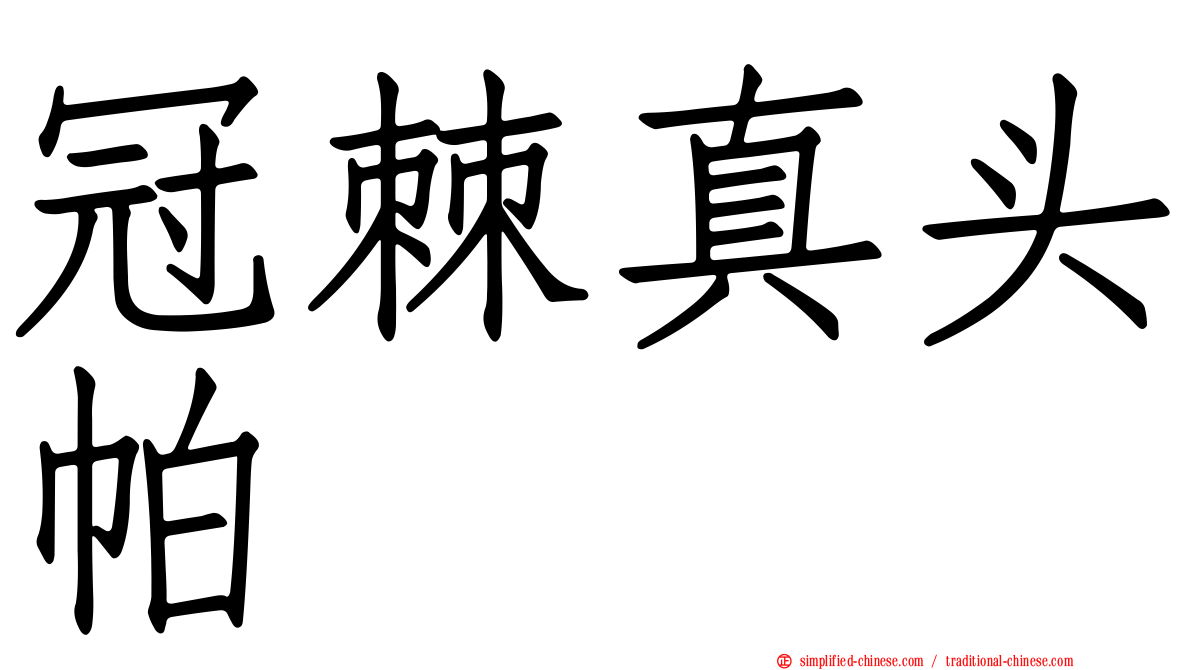 冠棘真头帕