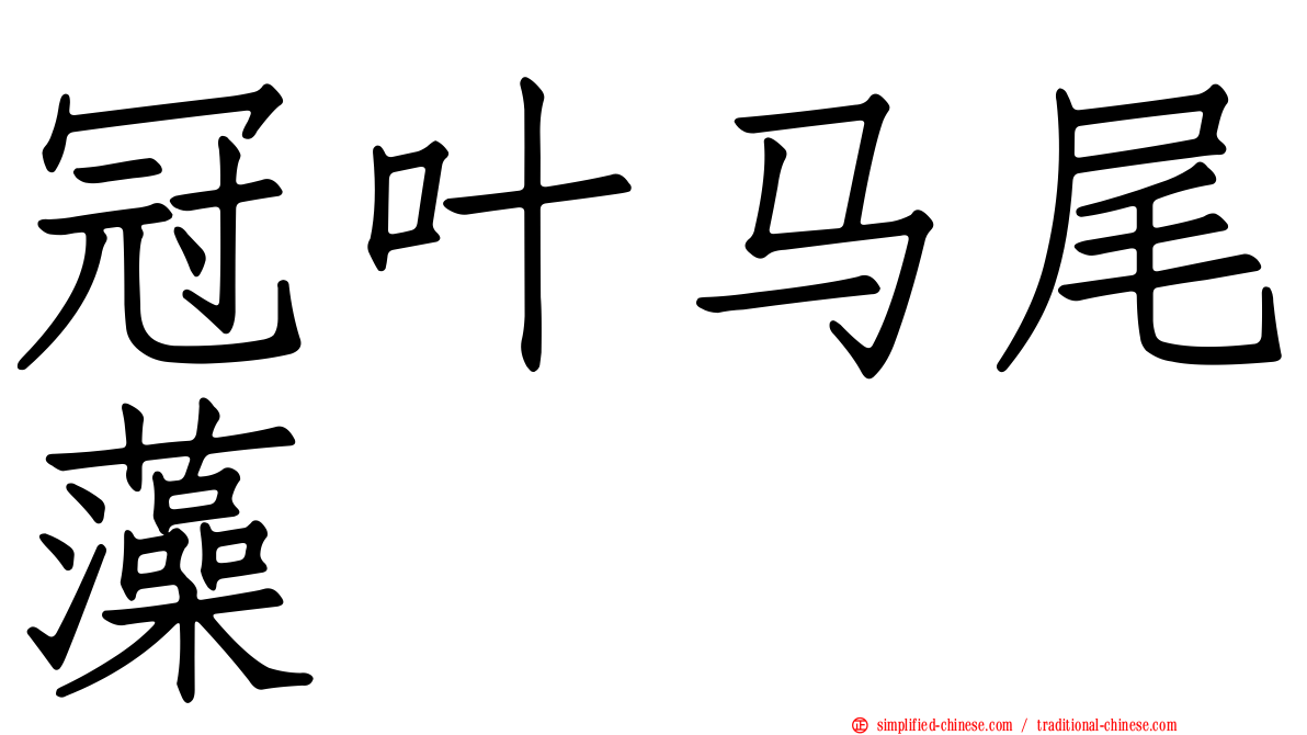 冠叶马尾藻