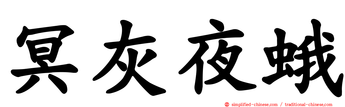 冥灰夜蛾
