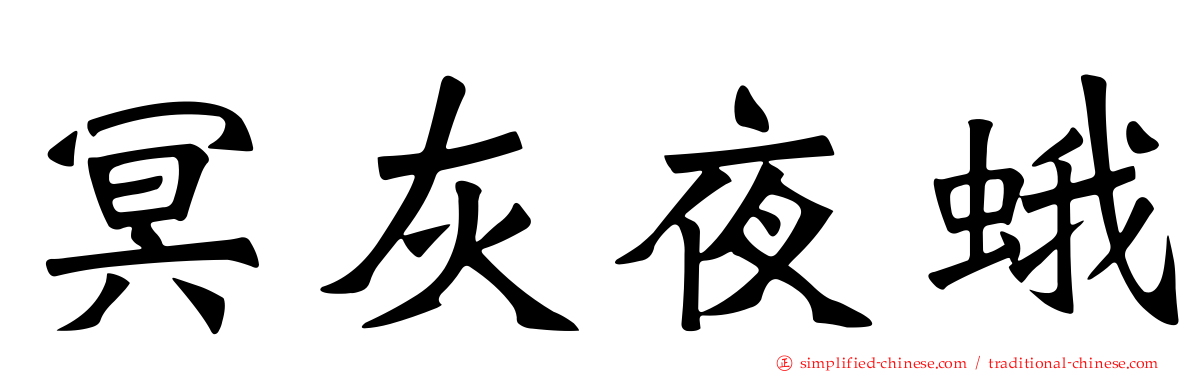 冥灰夜蛾