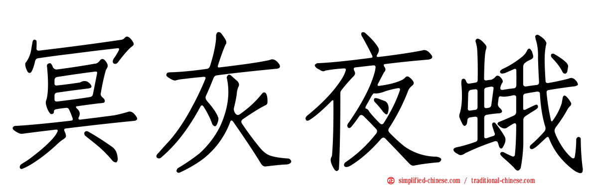 冥灰夜蛾