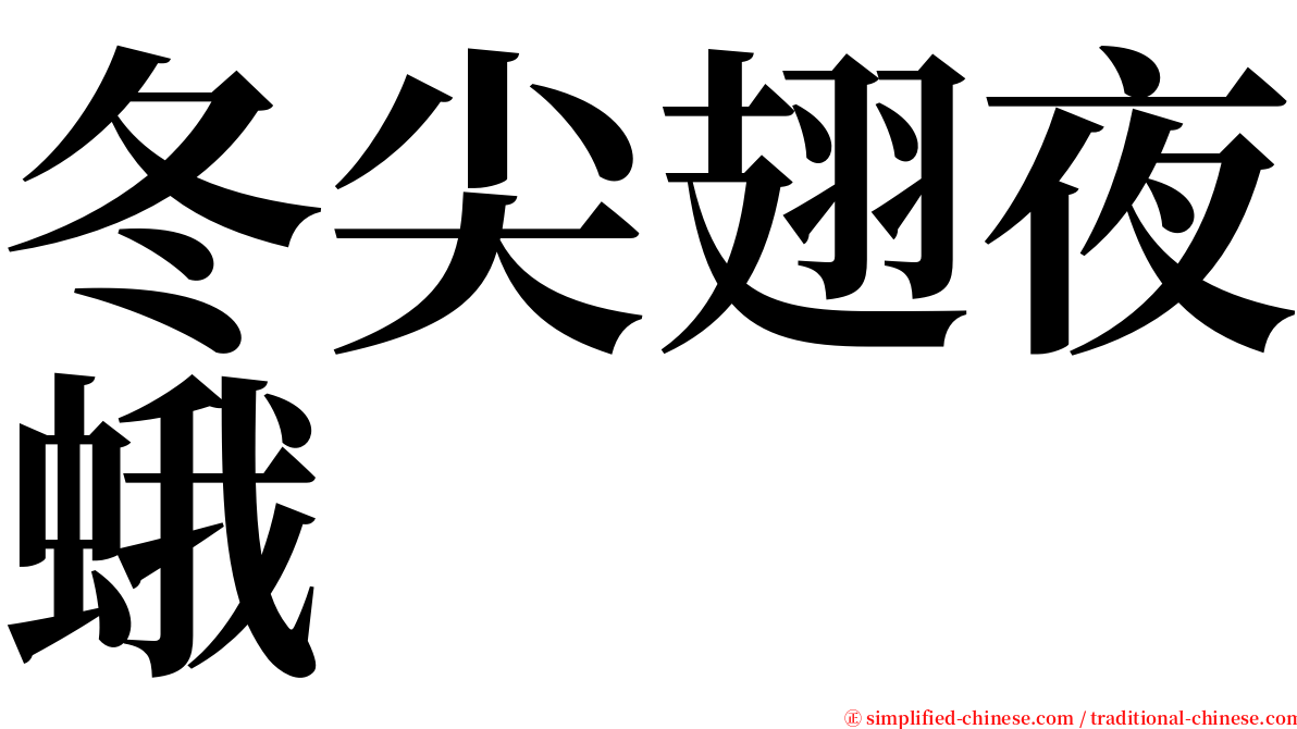 冬尖翅夜蛾 serif font