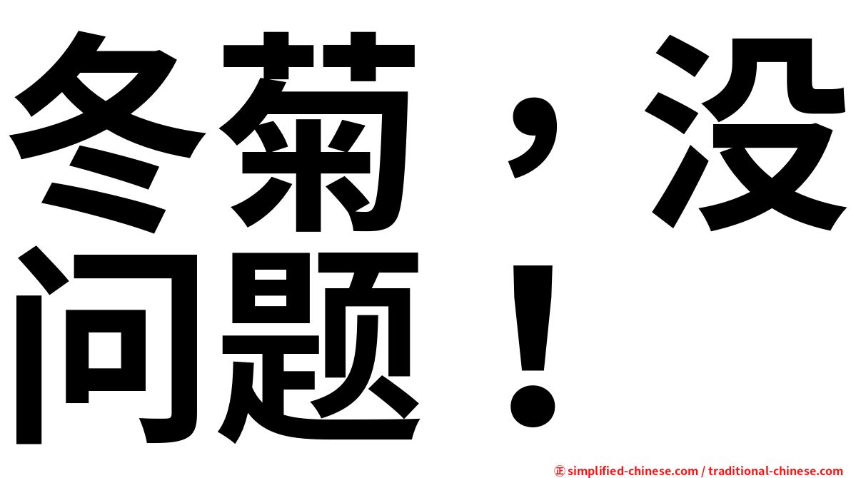 冬菊，没问题！