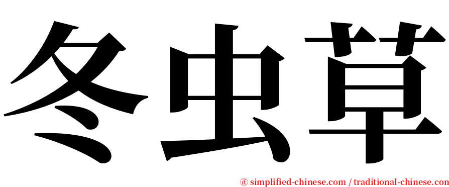 冬虫草 serif font