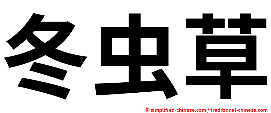 冬虫草