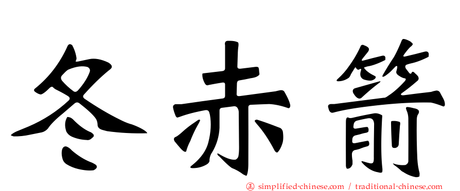 冬赤箭
