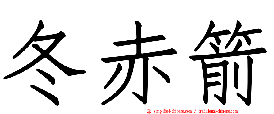 冬赤箭