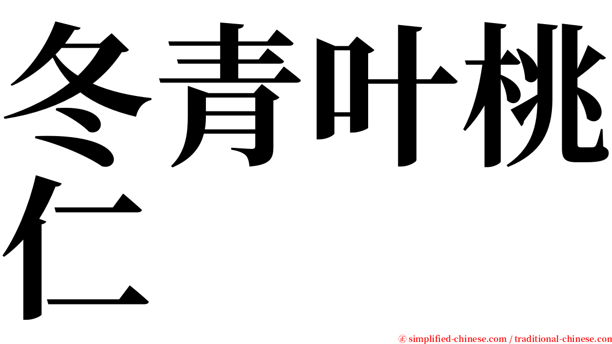 冬青叶桃仁 serif font