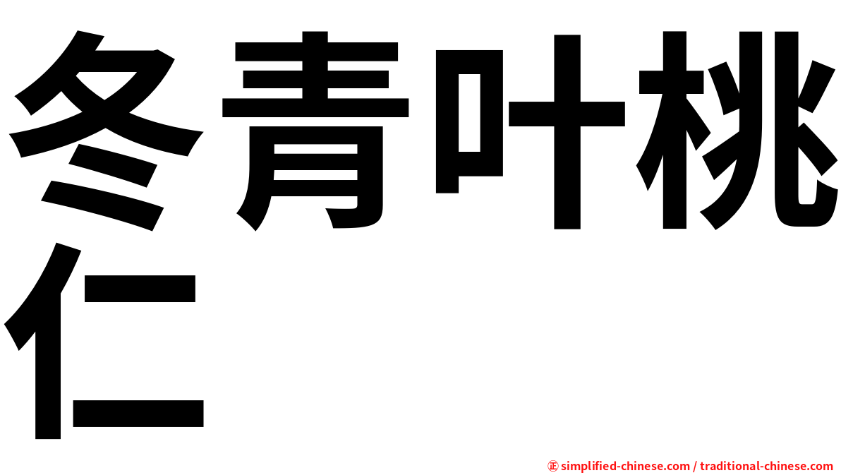 冬青叶桃仁