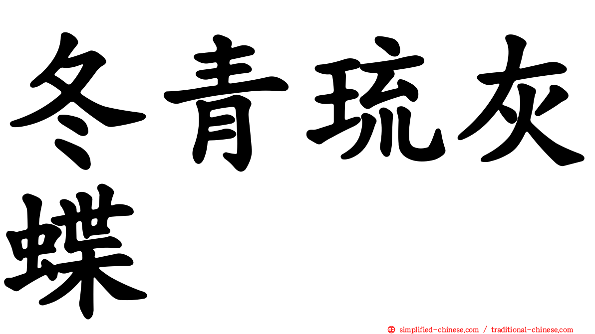 冬青琉灰蝶