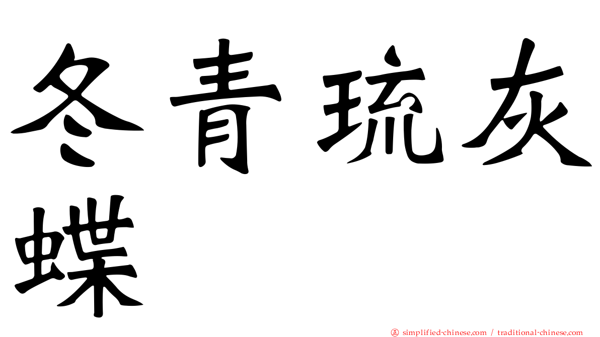 冬青琉灰蝶