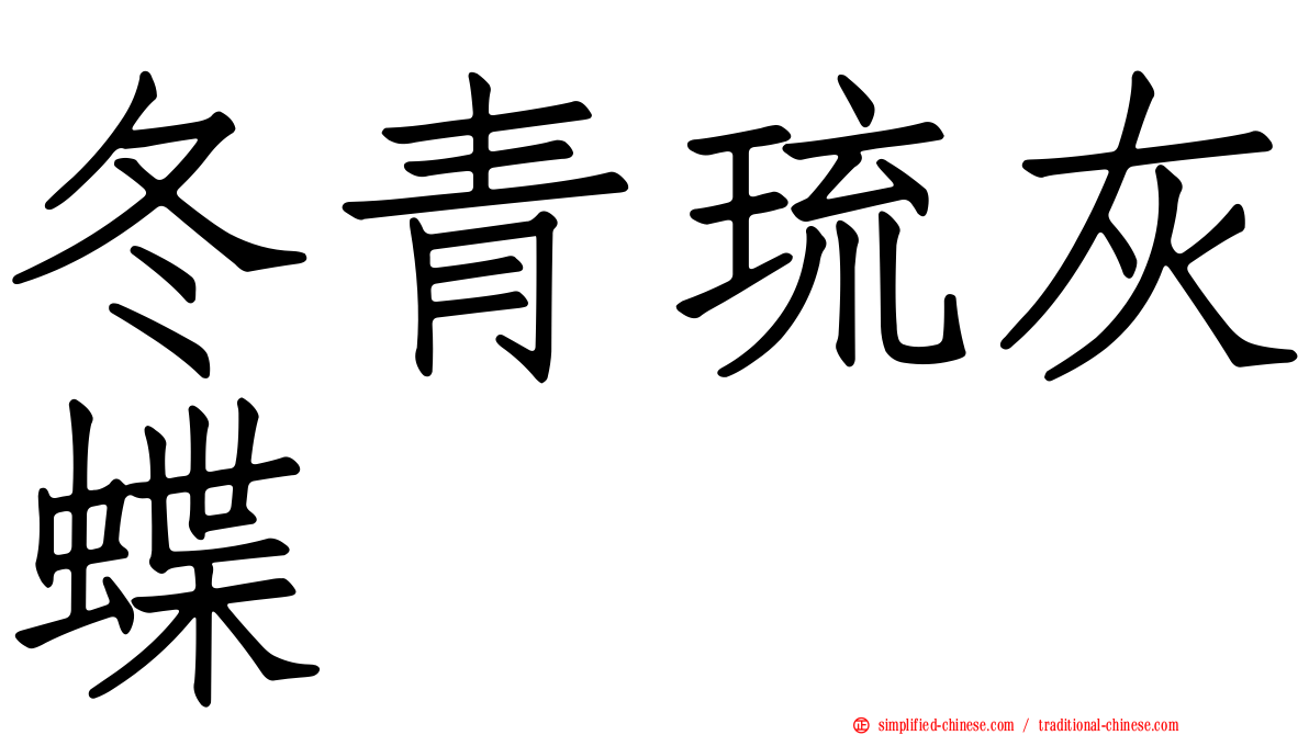 冬青琉灰蝶
